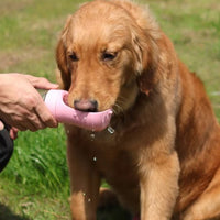2-in-1 Portable Dog Water Bottle